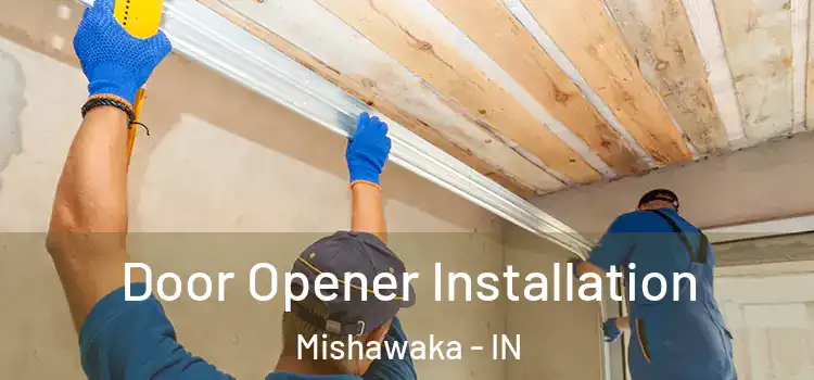 Door Opener Installation Mishawaka - IN