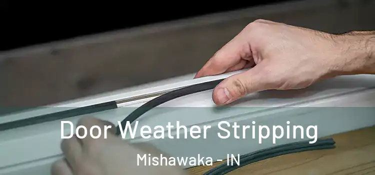 Door Weather Stripping Mishawaka - IN