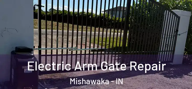  Electric Arm Gate Repair Mishawaka - IN