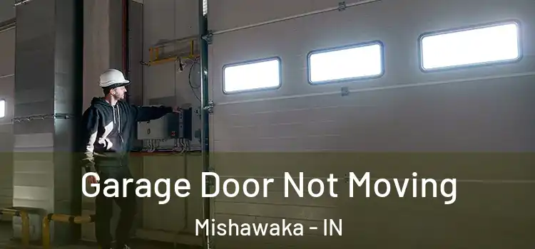  Garage Door Not Moving Mishawaka - IN