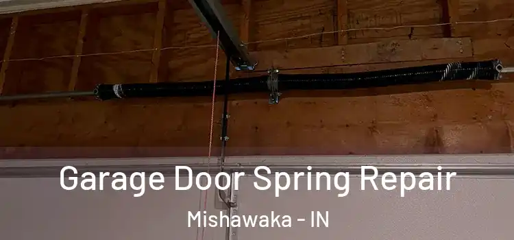  Garage Door Spring Repair Mishawaka - IN