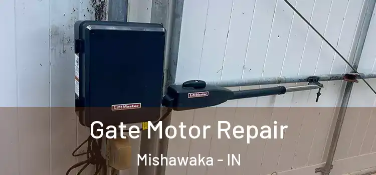 Gate Motor Repair Mishawaka - IN
