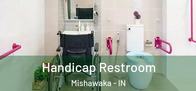  Handicap Restroom Mishawaka - IN
