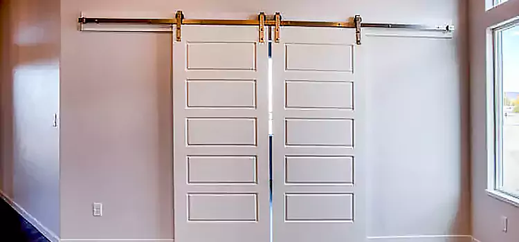 Glass Barn Door with Installation Hardware Kit Mishawaka