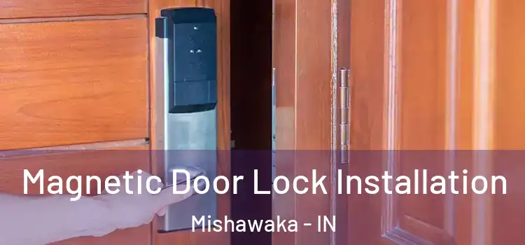  Magnetic Door Lock Installation Mishawaka - IN