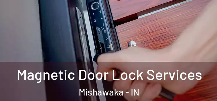 Magnetic Door Lock Services Mishawaka - IN